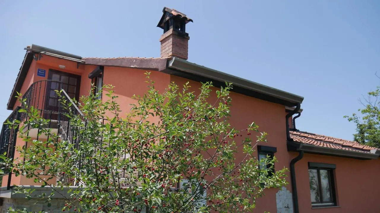 Apartment Kornarija Buje
